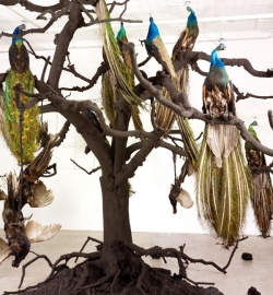 2011scalapino_nu_shu